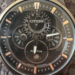Citizen Watch