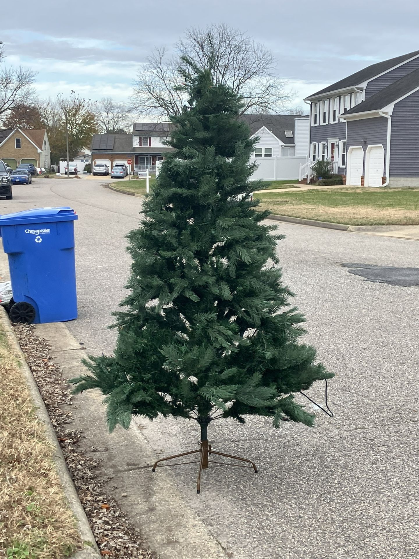 Free Tree Kimberly Court