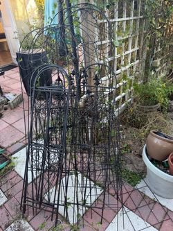 Iron Trellis