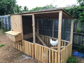 Chic coop farm