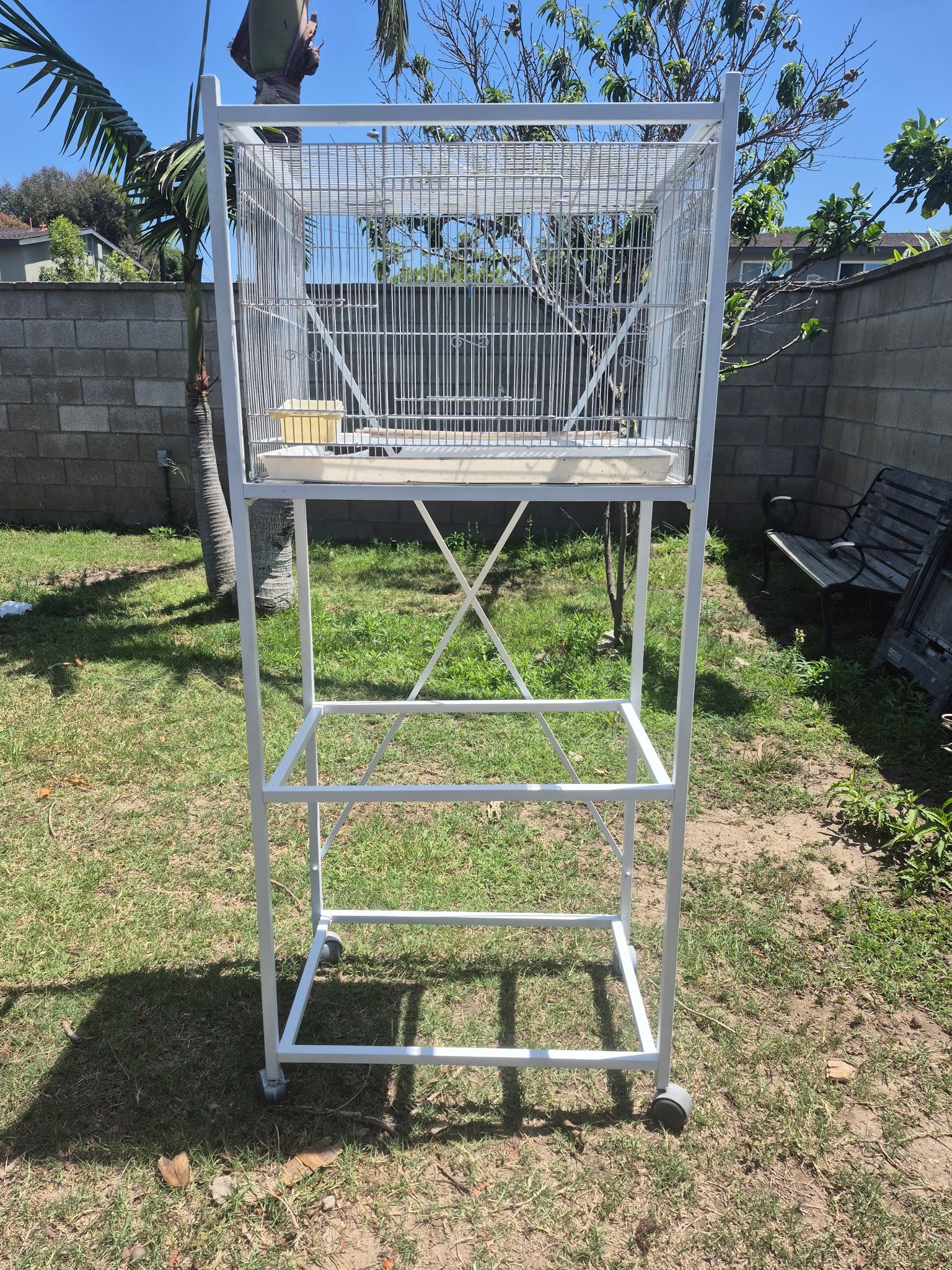 Bird Cage 