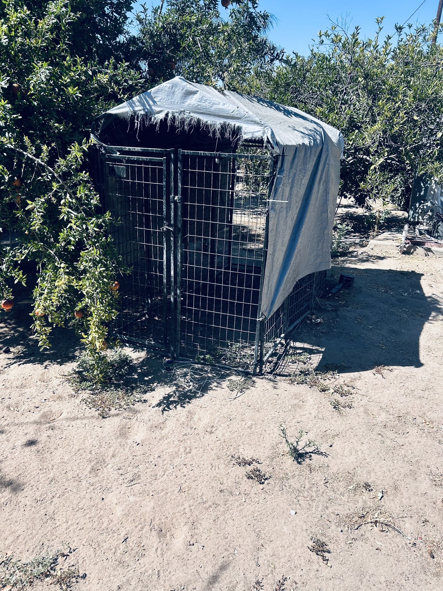 Dog Kennel