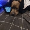 Alan