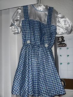 Alice In Wonderland Costume Dress