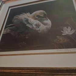 By The Late DEBRI FITZGERALD 