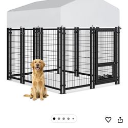 Dog Kennel 