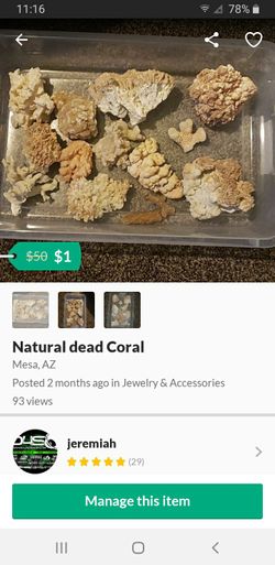 Natural dead Coral