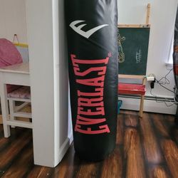 100 Pound Punching Bag