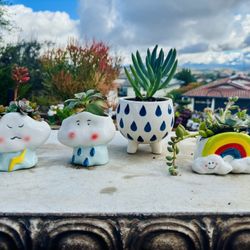 🌧️ ⚡️ 🌈 Rare: 4pc Weather Planter Set w Succulent Plant 🪴 