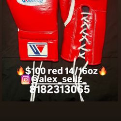 Boxing Gloves $100