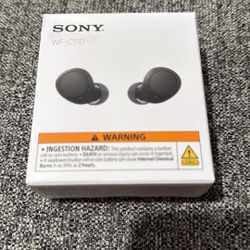 Sony Head Buds