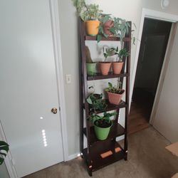 Plant Ladder Shelf 