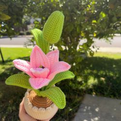 Handmade Crochet Pink Flower Lily  Plant in  a Pot