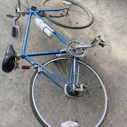 bicicleta