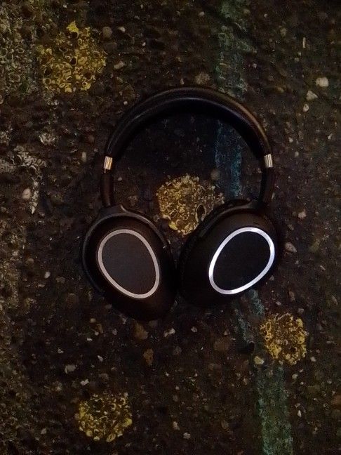 Sennheiser