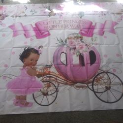 Princess Photo Back Drop