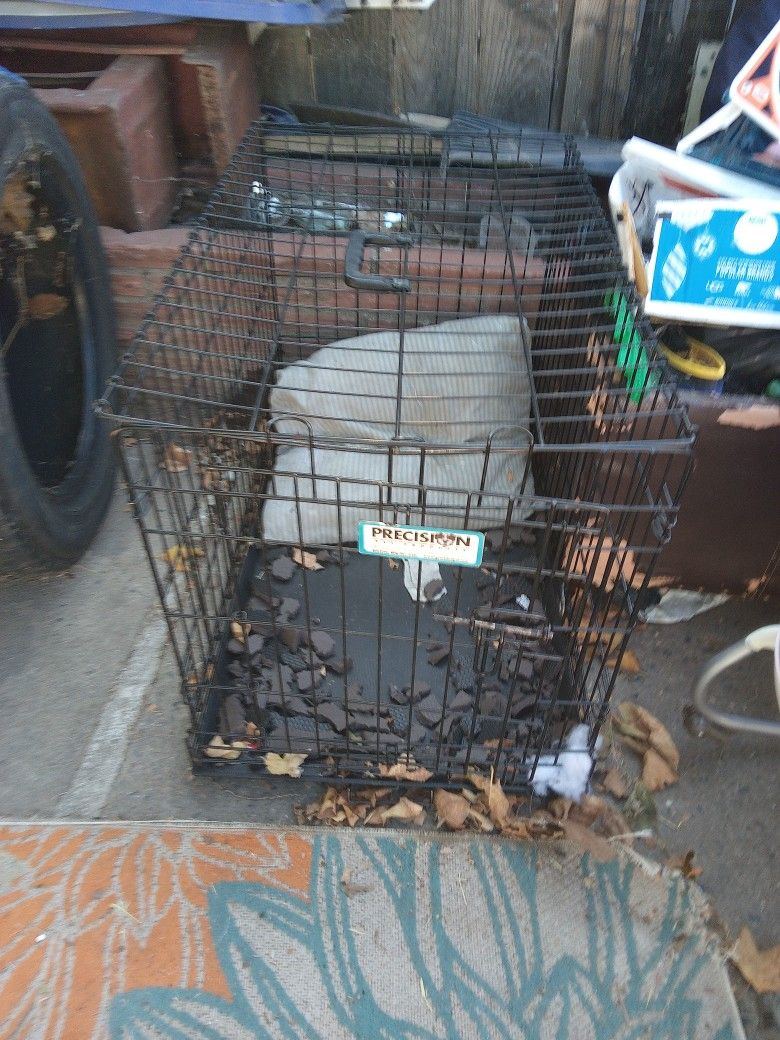 Dog Cage + More