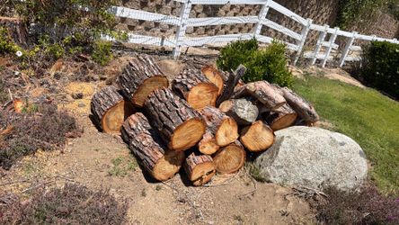 Firewood 100.00 for the whole pile. Fire Wood pine
