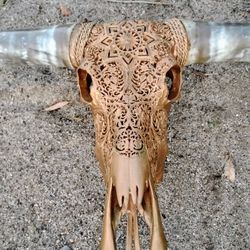 Authentic Longhorn Skull GOLDEN SUN Design 