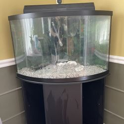 Fish Tank 