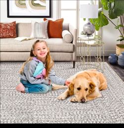 Farmhouse Washable Area Rug - Beige/Gray Print Braided 3'x5'