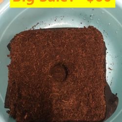 Coco Coir Fiber Soil for House Plants,Succulents,Herbs and Flowers