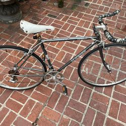 1984 Schwinn World Touring Bike