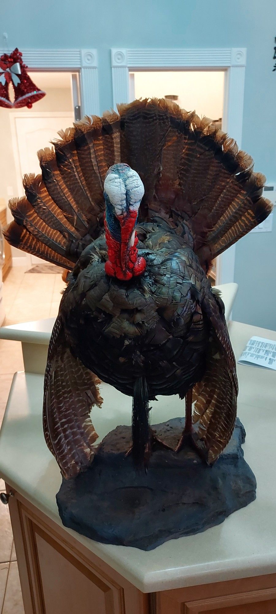 Turkey For The Holidays!