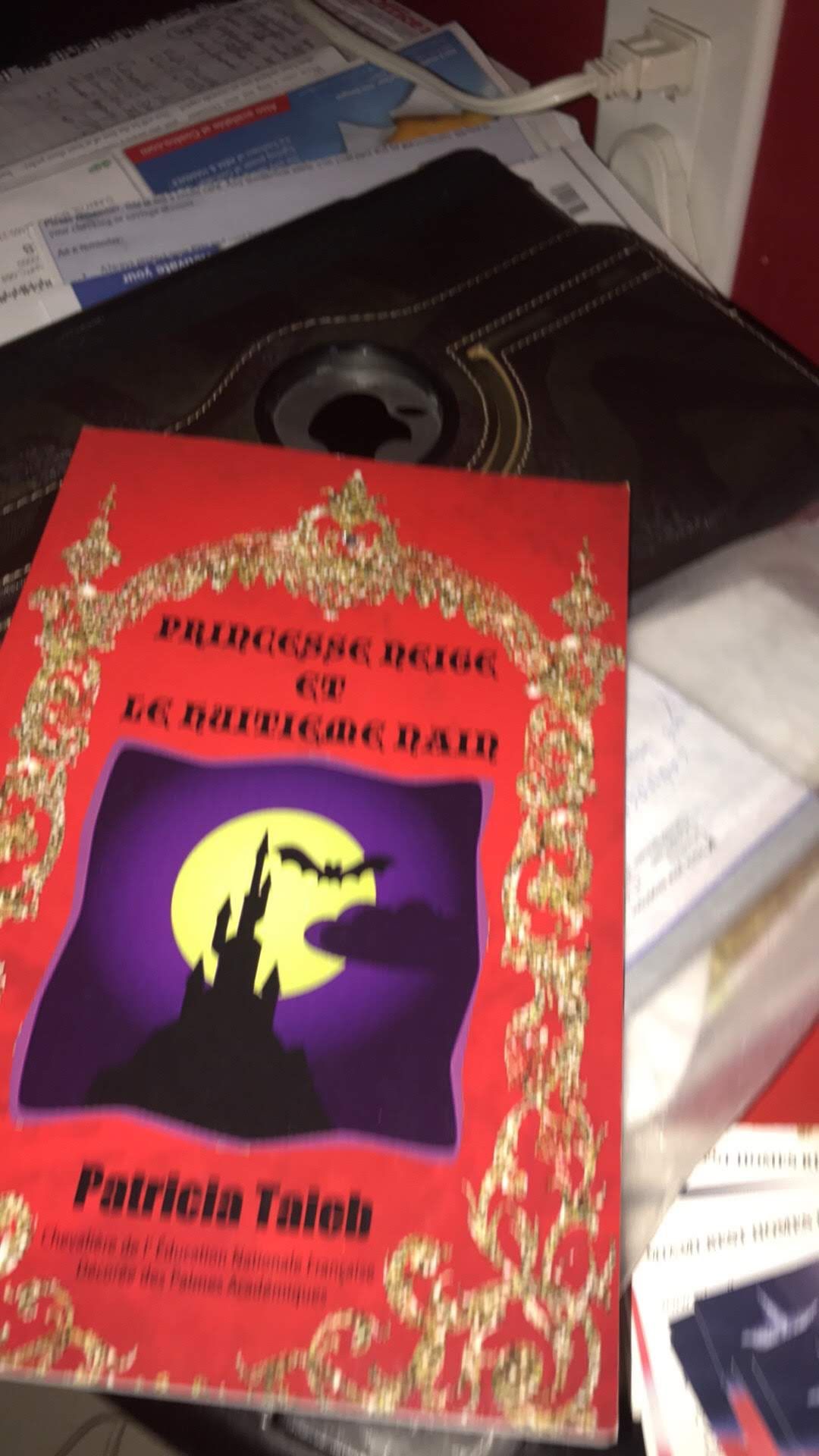 FRENCH MATHS ENGLISH COMPUTER CODING PROGRAMMING CLASSES AT SUNNY ISLES BEACH