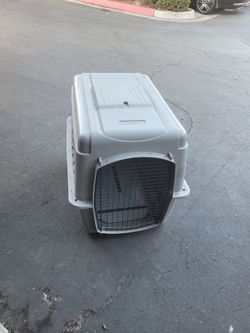 Large dog kennel
