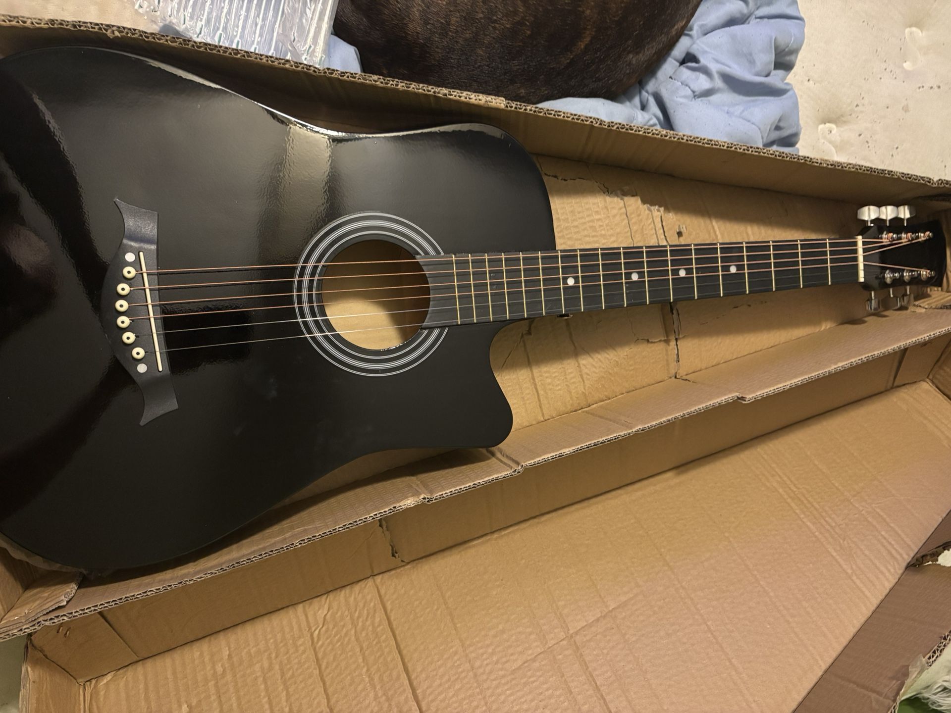 Guitar