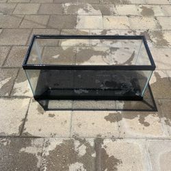 20 Gallon Fishtank