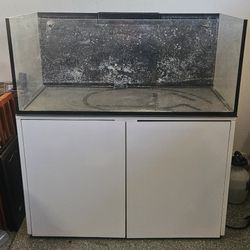 Aquarium Fish Tank Aqua Japan 100g 48x24x20 