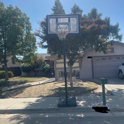 Adjustable Basketball Hoop