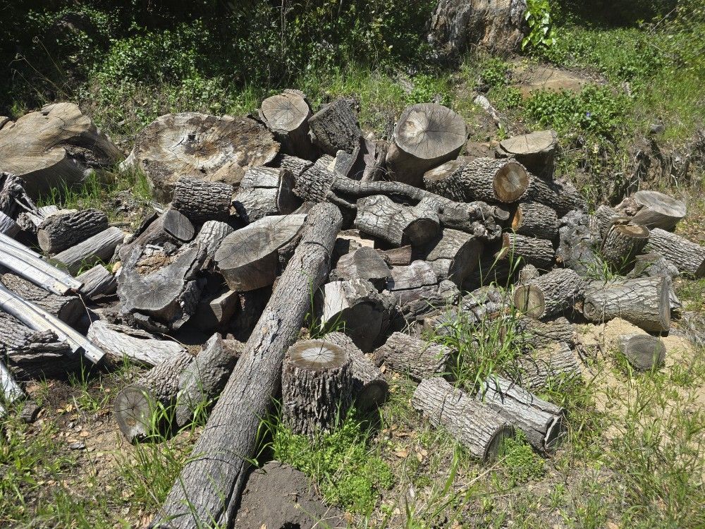 Oak Firewood