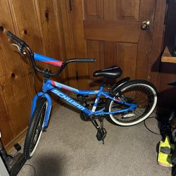 Schwinn Signature Boys' Fenite 20" Bike 