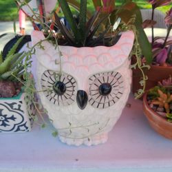 Owl Planter With Plants