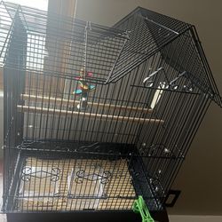 Parakeet Cage 