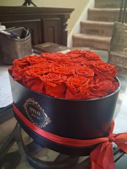 Forever Roses