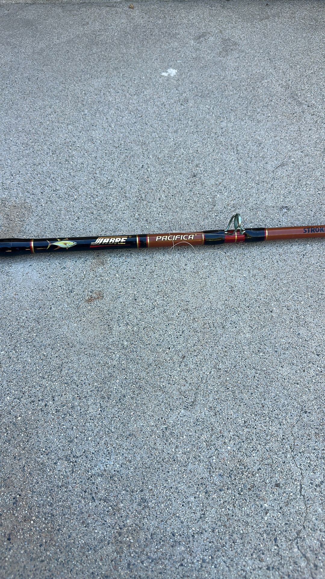 Fishing Pole And Reel Penn 113H