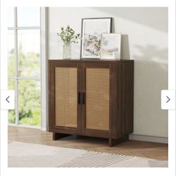 Storage Accent Cabinet with 2 Door
