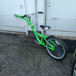 Co-pilot Tow Behind Bike. 