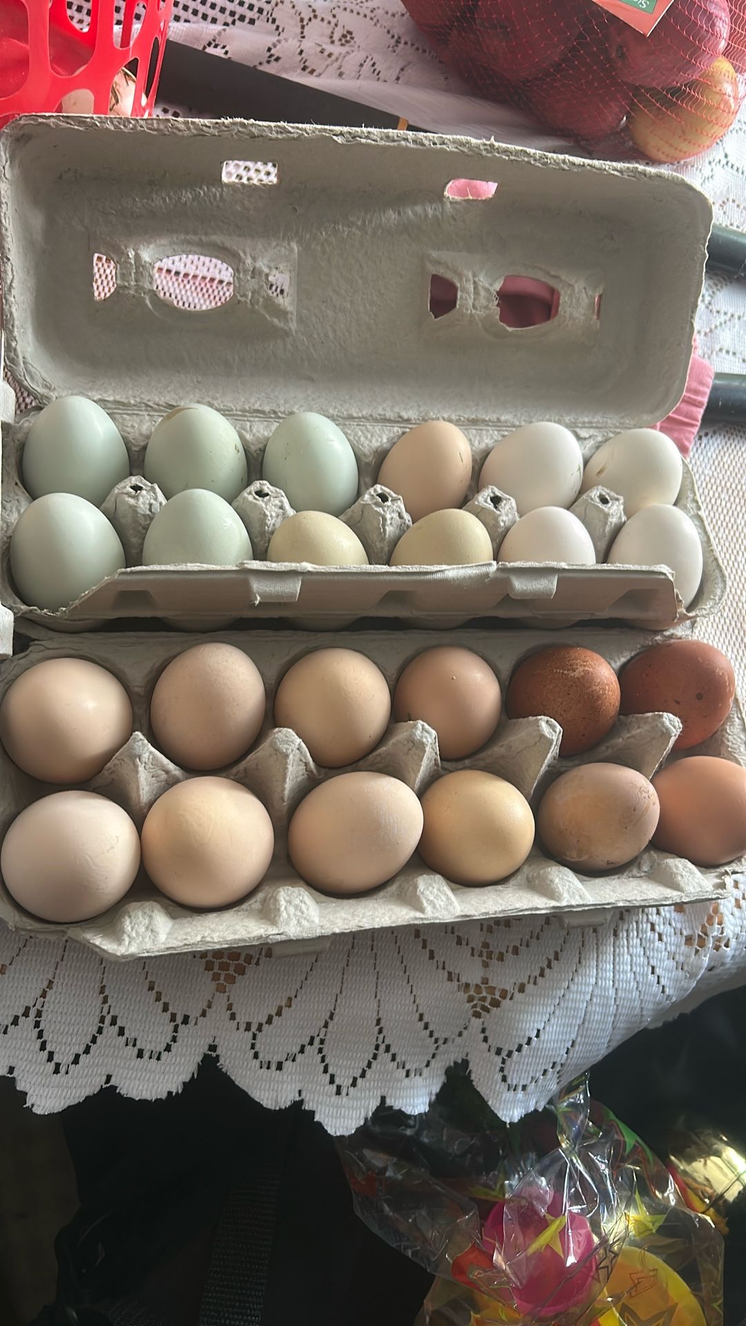 Huevos frescos / Fresh chicken eggs