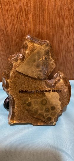 5” x  3.5” Polished Michigan PETOSKEY Stone