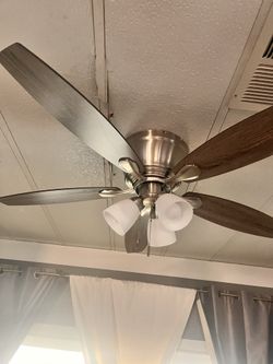 Fan