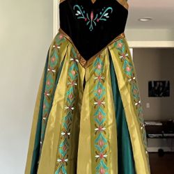 Frozen Anna Dress—Never Worn