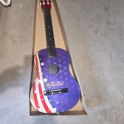 Guitar  Need String 