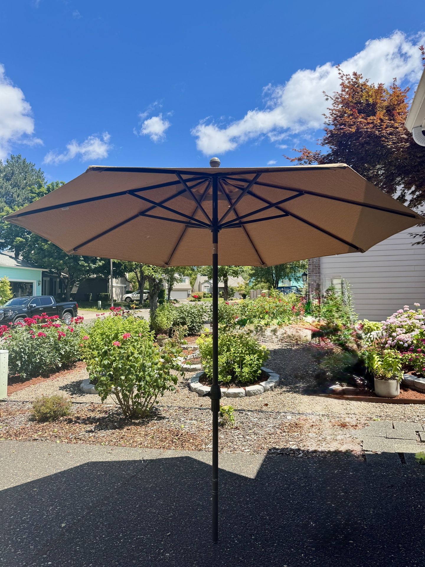 Patio Umbrella 
