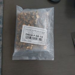 1/4" Brass Chicago Screws 100 Pack