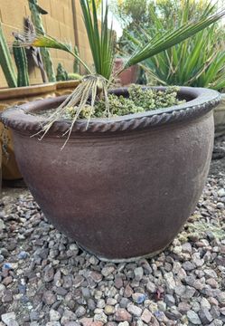 Planter / Pot